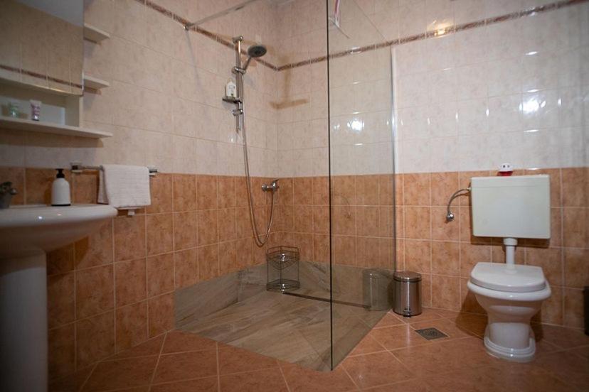 Apartment Orbanic ロヴィニ エクステリア 写真